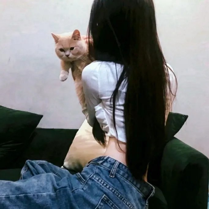 昨夜情深